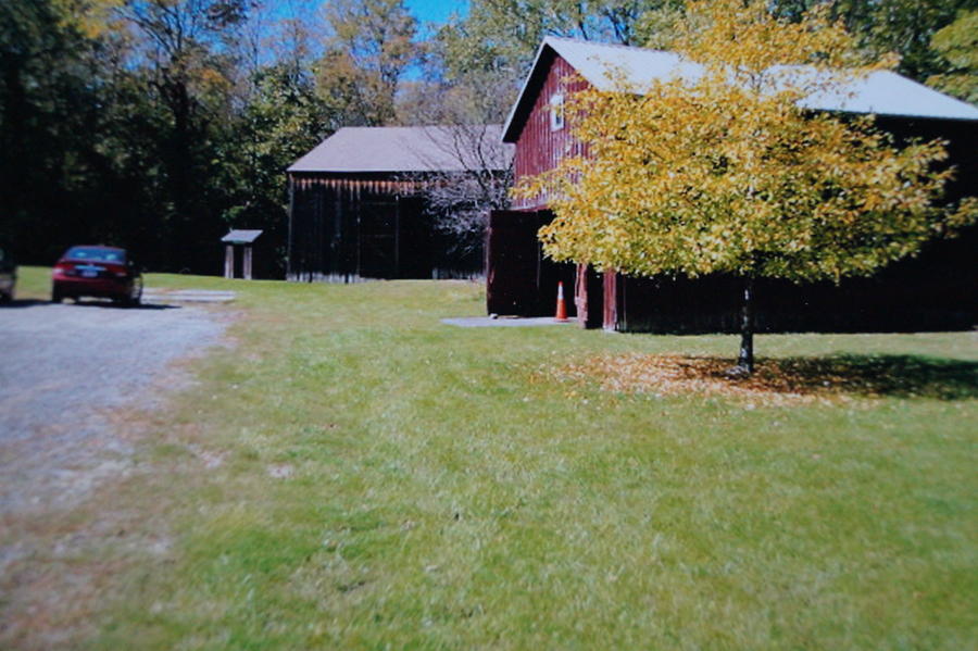 Left-Yankee Hay Barn; Right-Red Horse Barn .JPG